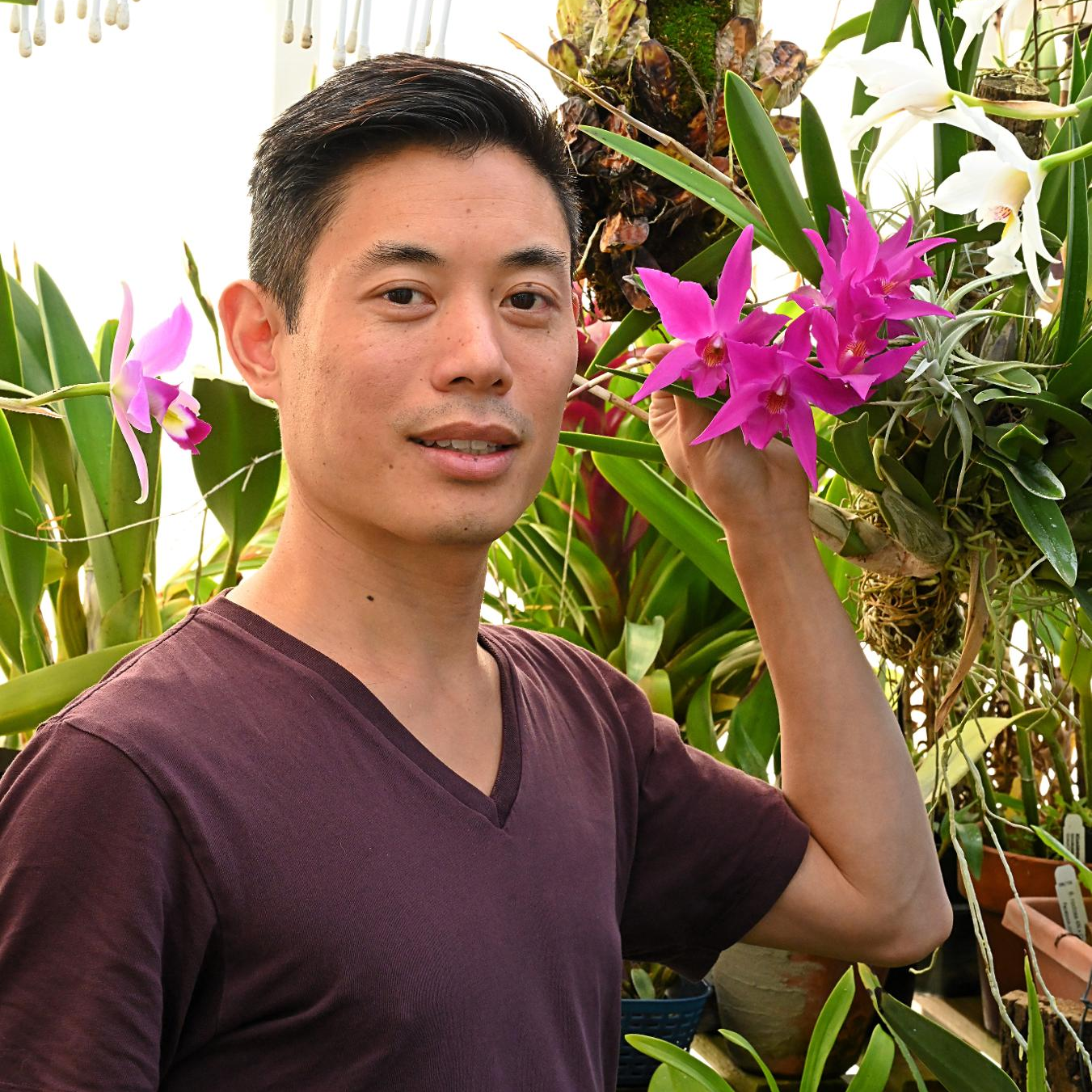 Mastering Gardening with Alan Yip 🌿 | Horticulturist & Plant Scientist